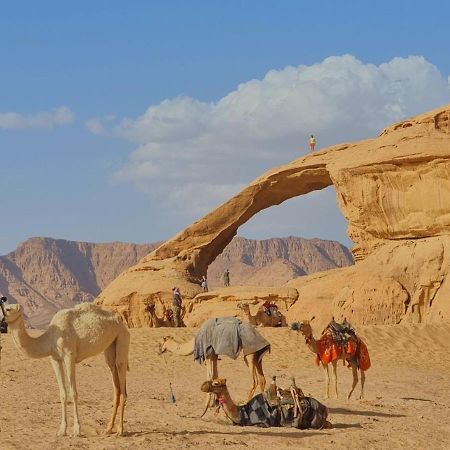 Wadi Rum Desert Camp Eksteriør billede