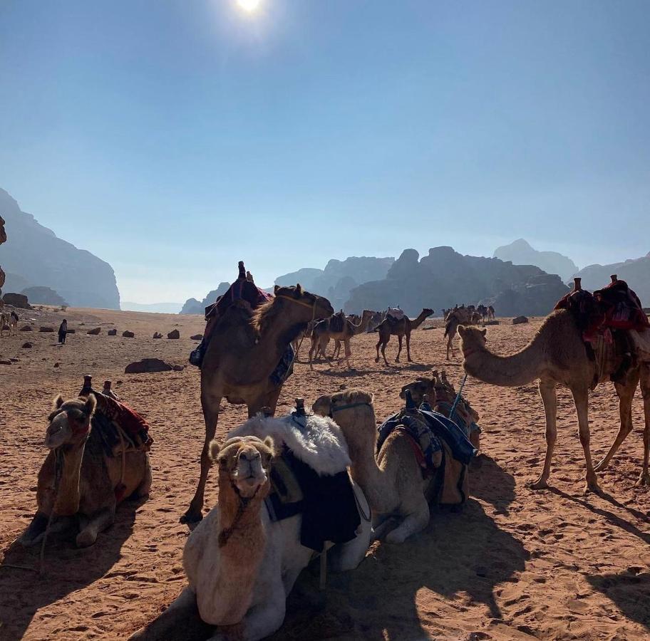 Wadi Rum Desert Camp Eksteriør billede