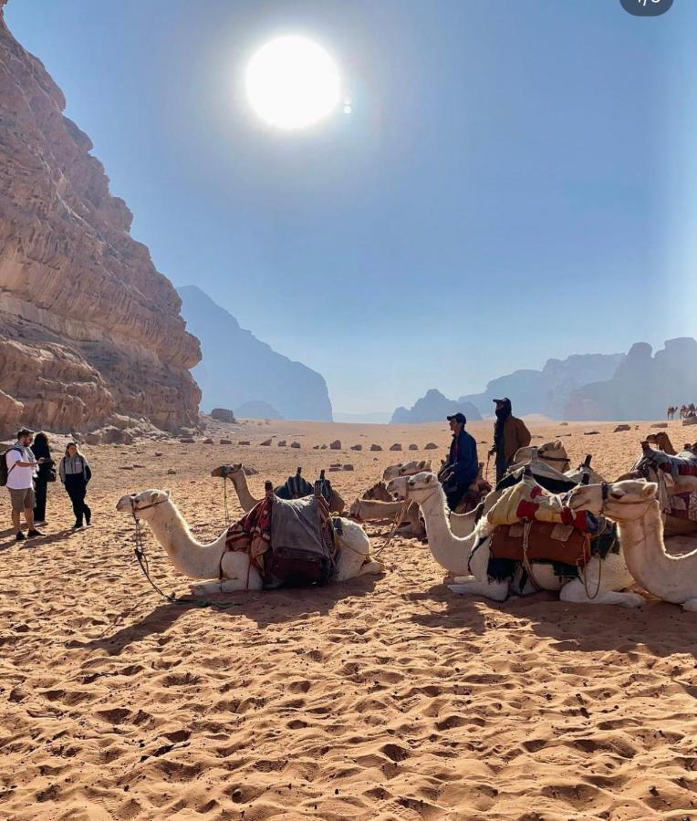 Wadi Rum Desert Camp Eksteriør billede