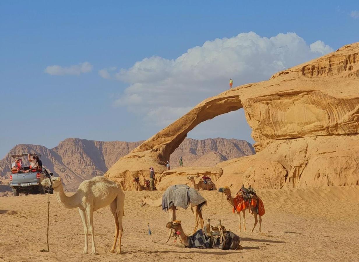 Wadi Rum Desert Camp Eksteriør billede