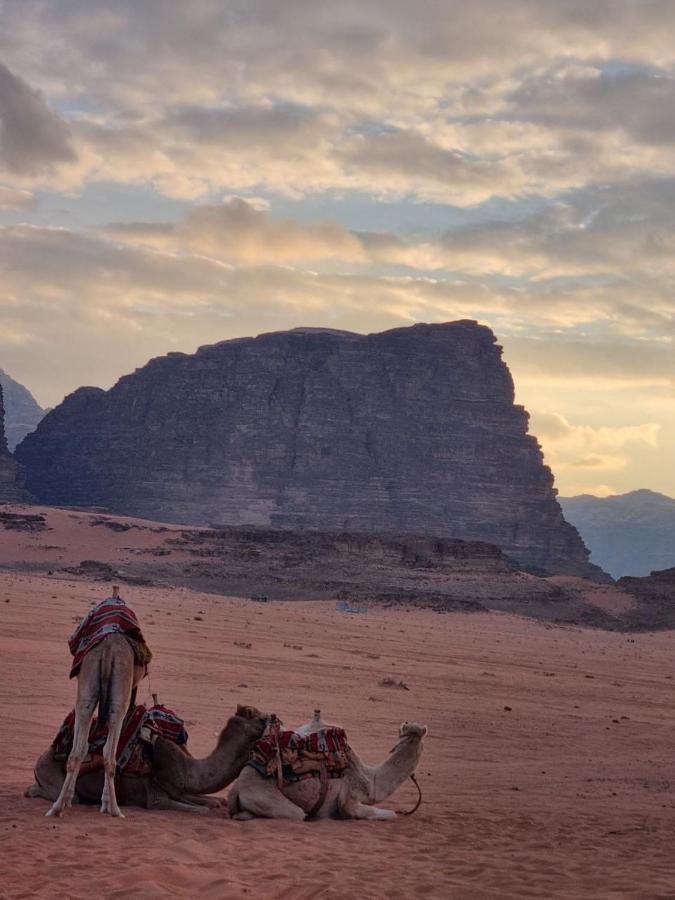 Wadi Rum Desert Camp Eksteriør billede