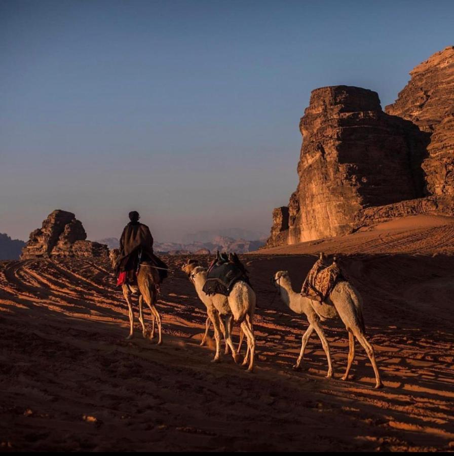 Wadi Rum Desert Camp Eksteriør billede