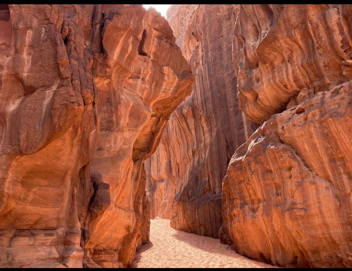 Wadi Rum Desert Camp Eksteriør billede
